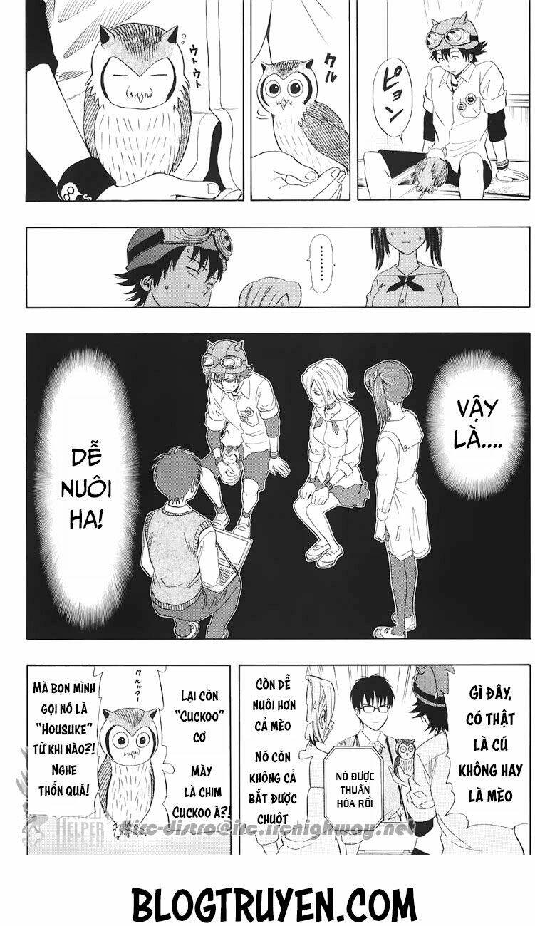 Sket Dance - 129 - /uploads/20231116/b7f45feff5aca4c7b415b29eaf234357/chapter_129/page_13.jpg