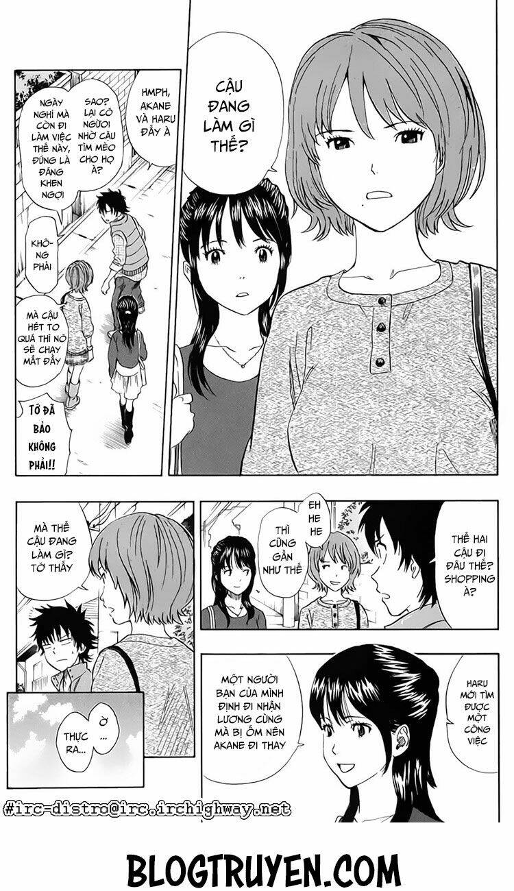 Sket Dance - 81 - /uploads/20231116/b7f45feff5aca4c7b415b29eaf234357/chapter_81/page_3.jpg