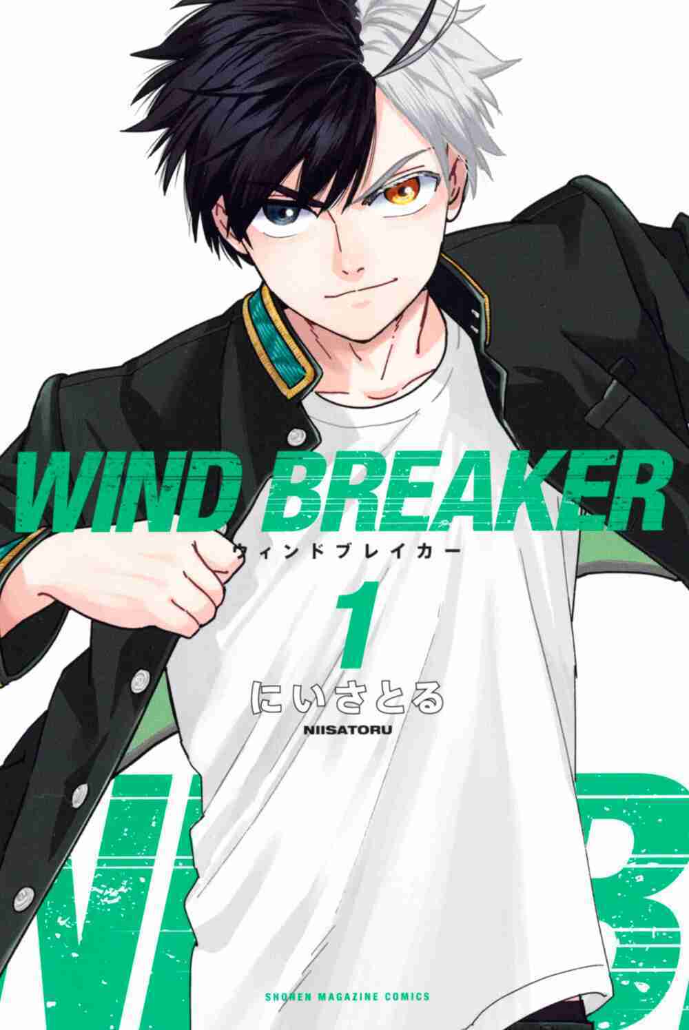 Wind Breaker - 2 - /uploads/20240110/e7652bae6c0a9765581bfe82b9965f99/chapter_2/page_1.jpg