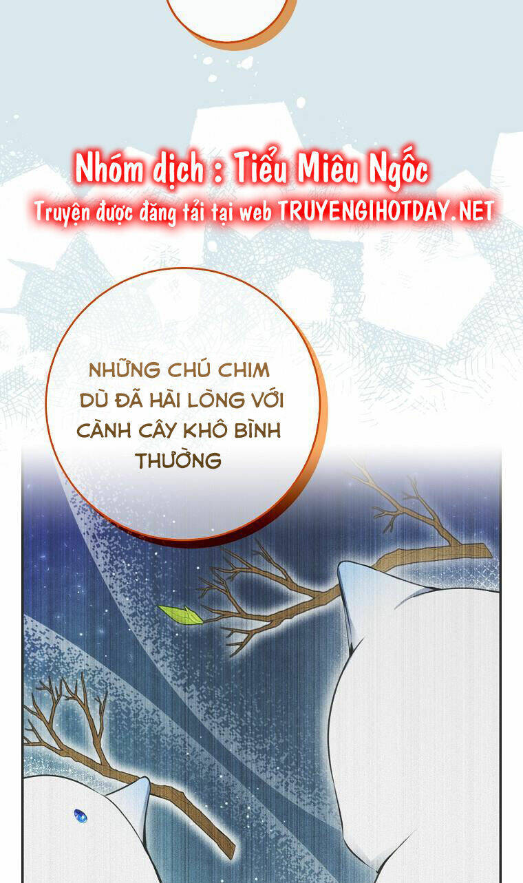 Sóc Nhỏ Tài Năng - 51 - /uploads/20240122/f17ef97565222569423a026ed94c5165/chapter_51/page_31.jpg