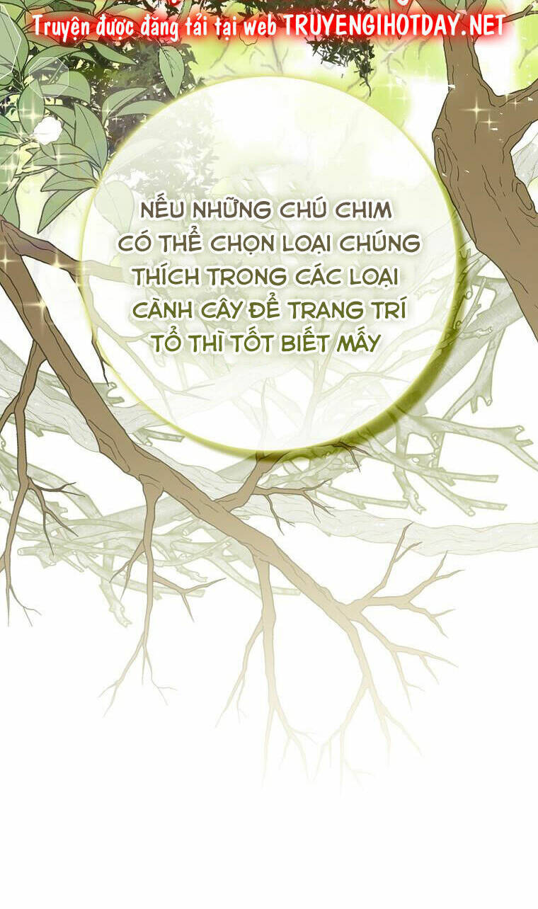 Sóc Nhỏ Tài Năng - 51 - /uploads/20240122/f17ef97565222569423a026ed94c5165/chapter_51/page_34.jpg