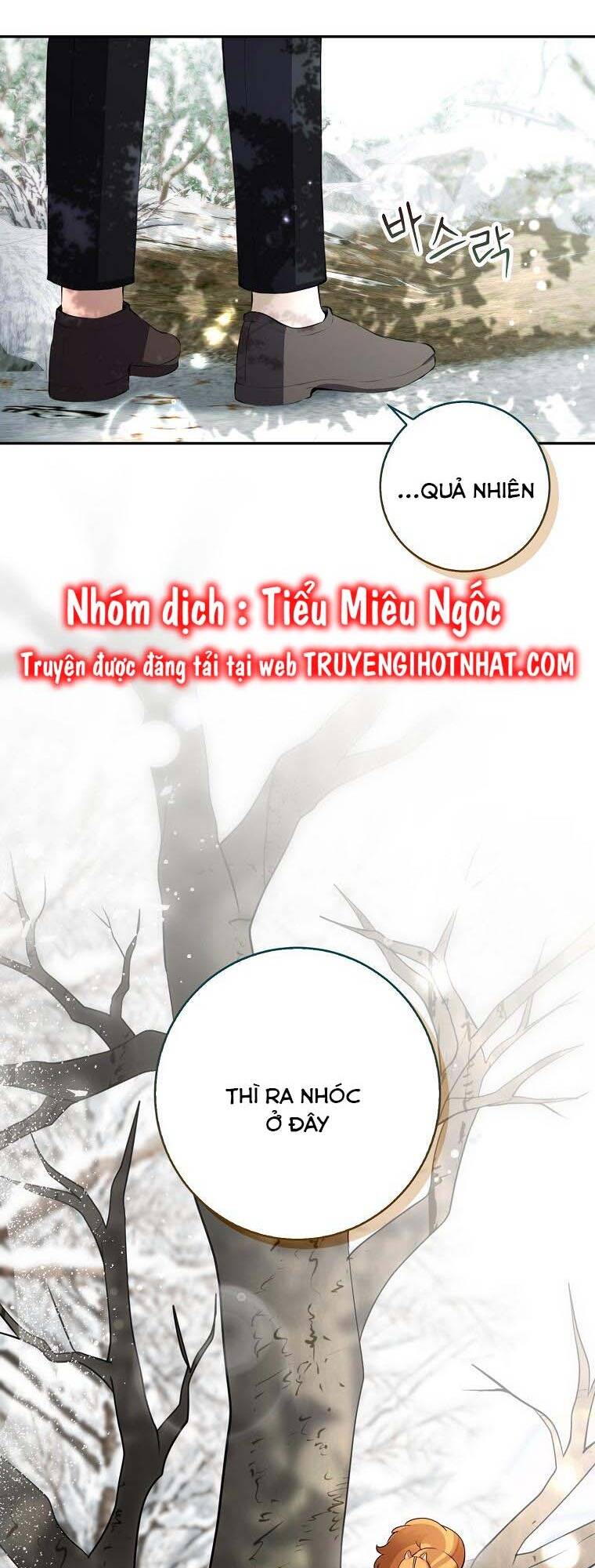 Sóc Nhỏ Tài Năng - 53 - /uploads/20240122/f17ef97565222569423a026ed94c5165/chapter_53/page_42.jpg