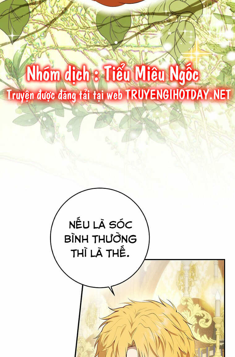 Sóc Nhỏ Tài Năng - 73 - /uploads/20240317/f370761c6092e8a8cd3339ecf9b609e9/chapter_73/page_62.jpg